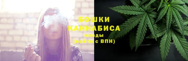 спайс Бородино