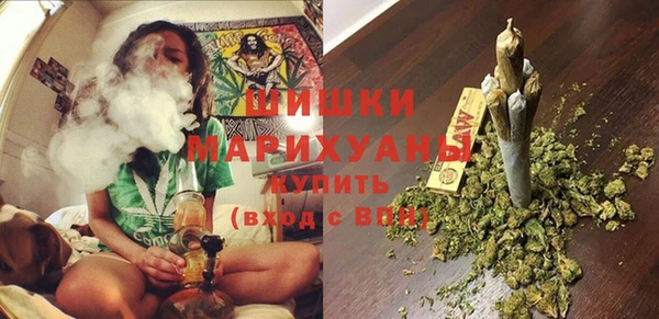 спайс Бородино