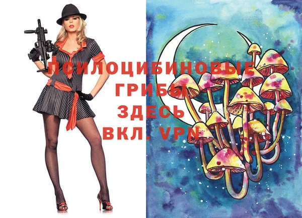 ECSTASY Бугульма