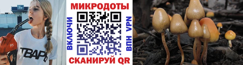Галлюциногенные грибы MAGIC MUSHROOMS магазин наркотиков Симферополь
